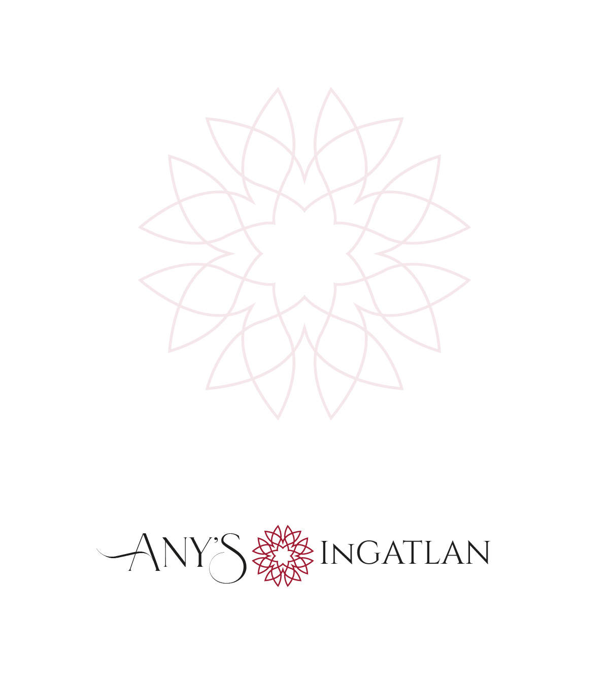 Any's Office Management